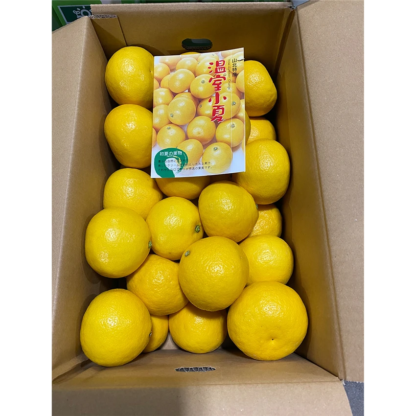 Japanese hot sale good taste fresh orange fruits price for imported