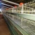 Import Layer chicken farm poultry battery cages from China