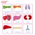 Import lelebe 2020 wholesale manufacturer plush human organs Preschool education aids with educational games study  children toy from China
