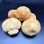 Import Lions mane mushroom extract powder 30% Beta D Glucan from China