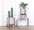 Import living room indoor plants wooden bamboo cement flower pot from China