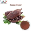 Lower blood pressure HACCP KOSHER FDA cGMP certified 45% polyphenol cocoa extract cocoa beans for sale cocoa bean price