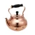 Import Luxury coffee kettles from India