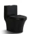 Import Luxury Sanitary Ware Standard Modern Bathroom Wc Ceramic Toilet Bowl Matt Black from China