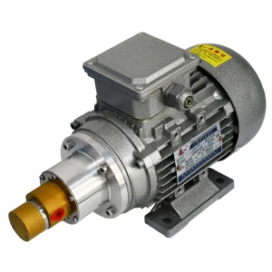 Magnetic Drive continuous working AC asynchronous motor micro gear pump M0.15T57Y0.18KW2P