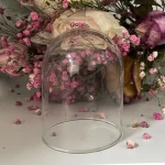 Manufacturer wholesale clear decorative hand blown glass cloche bell jar domes cover