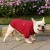 Import Manufacturer wholesale multi-colors luxury designed warm soft winter sweater pet dog clothes from China