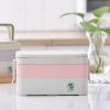 Microwave Heating 2 Layers Bamboo Fiber  Lunch Box  Multi-compartment Lunch Bento Box With Tableware