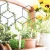 Import Mini Iron garden flower indoor plant Lattice Shaped Vegetables trellis for potted plants from China