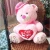 Import Mixed Sizes Plastic Safety Eyes For Teddy Bear Stuffed Toys Snap Animal Dolls from China
