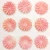 Import Mother of Pearl Natural Queen Conch Pink Seashell flowers Five leaf Shell beads Craved Flower from China