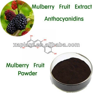 Mulberry Fruit Extract/ Mulberry Extract with 5%, 10%, 25% Anthocyanidins UV, 10:1