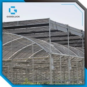 multi span Agricultural film greenhouse for sale
