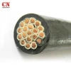 Multicore XLPE/ PVC insulated copper tape shield control cable