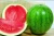 Import Natural Fresh Watermelon from South Africa