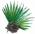 Import Natural Saw Palmetto Extract 25% 45% Saw palm Fatty acid from oil from China