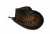 Import New 2021 Australian Style Faded Leather Cowboy Hat Western Buffalo Coin Hat from Pakistan