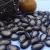 Import new crop black watermelon seed from China