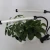 Import New design Dual head led grow light with timer and remote control from China
