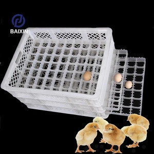 New High Quality Chicken Egg Trays/Egg Packing Tray