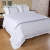 Import New Style 4 pcs 100% Cotton 60s Hotel Bedding Set Satin Strip White Bed Linen With 2 Pillow from China