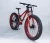 Import newest for Adults high quality Steel fat tire 26&#x27;&#x27;*4.0 24 speed manufacturer MTB mountain snow bike beach bike mtb Bicycle from China