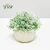 Import OEM artificial plastic plant bonsai artificial flower bonsai table top decoration green plant ornament clover office grass from China