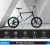 OEM OEM custom 20 inch 26 inch magnesium alloy bicycle integrated wheel set 2 perlin mountain bike folding car electric car appl