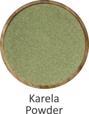 OEM Private Label 100% Natural Bitter Gourd (Karela) Powder Food Grade Herbal Supplement Wild-Cultivated by Indian Exporters