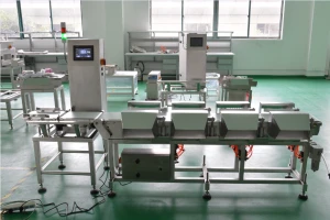 Online Conveyor Weight Sorting System/Weighing Scale