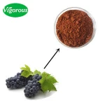 organic 5%Resveratrol extract red grape skin extracts