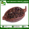 Organic Cocoa Seeds for Sale