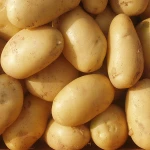 Organic Farm fresh potato in Fresh Potato for Sale