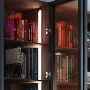 Personal custom Wooden cabinet BookShelf With Glass Doors for Household