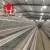 Import Poultry House A Type Layer Chicken Cages For 10000 Birds from China