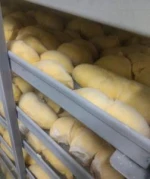 Premium Frozen Monthong  Durian