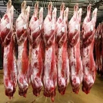 Premium Quality 100% Halal Fresh/Frozen Sheep/Goat/Lamb Meat/Carcass For Sale