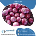 Premium Quality Red Onion at Bulk Price