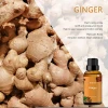 Private Label Natural Ginger Germinal Hair Regrowth Treatment Hair Anti Loss Growth Serum Oil