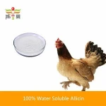 Professional supplier makes allicin feed additives poultry feed premixes and growth promoters for dairy cattle feed
