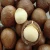Import Quality Macadamia Nut/ QUALITY ALMOND, MACADEMIA, CASHEW NUTS Available from Belgium