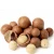 Import Raw organic Macadamia nuts with shell and Without shell for sale worldwide from Ukraine