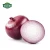 Import Red Onion Importers Fresh Vegetables Onion Price Ton for Buyers from China