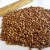 Import roasted buckwheat kernel unhulled with best quality and competitive price from China