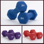Rubber Pink  Free Weights Fitness Weights Gym Equipment  Set of Dumbbells