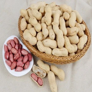 RUNNER PEANUTS FOR SALE