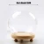 Import Safe transportation wholesale custom transparent Tabletop Display Orqihod Round Glass Cloche Ball Jar Dome with Wooden Base from China