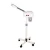 Import Salon spray household steamer face machine new beauty steam face from China