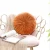 Import Scandinavian Inside Wind Small Fresh Pumpkin Ice Flower Office Round Pillow Cover from China