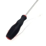 Sea Sand Beach Small Shellfish Clam Rake